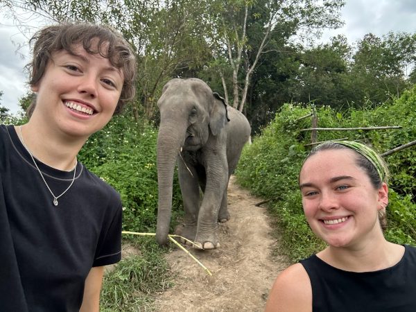 Tour B – One Day Elephant Experience and Karen Hill Tribe Visit