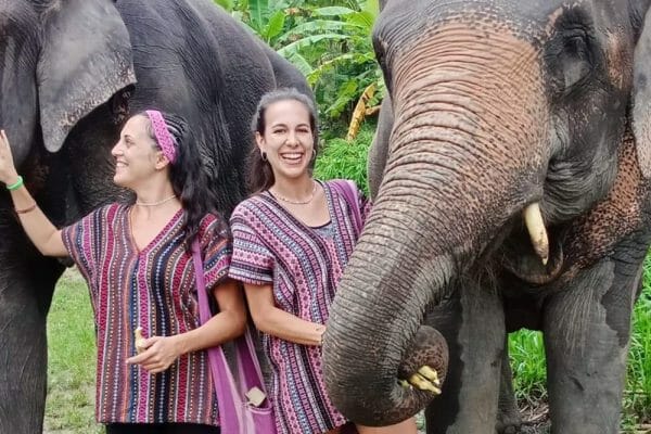 Tour G Private – Two Days One Night Doi Inthanon National Park & Elephant Care