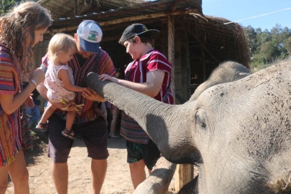 Tour B – One Day Elephant Care and Karen Hill Tribe Visit