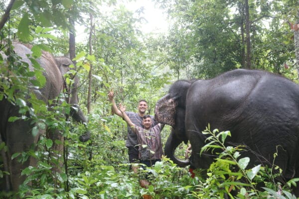 Tour A – Half Day (Not inc. transportation) Elephant Care