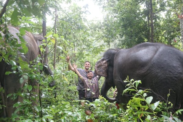 Tour A – Half Day (Afternoon) Elephant Care
