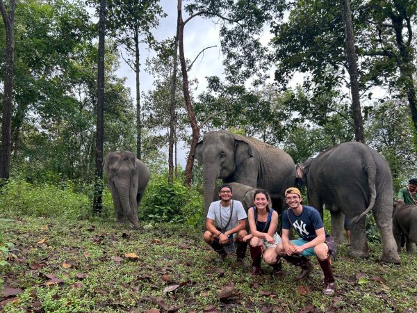 Private Tour A – Half Day (Afternoon) Elephant Experience