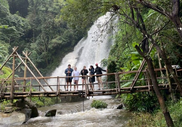 Tour C – One Day Doi Inthanon National Park & Elephant Sanctuary