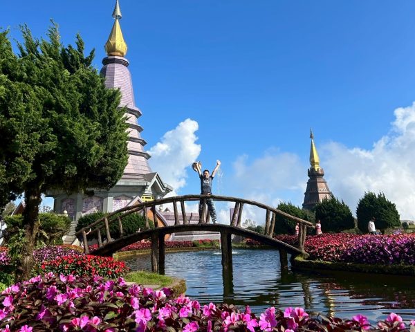 Tour H Private – One Day Doi Inthanon National Park & Elephant Care